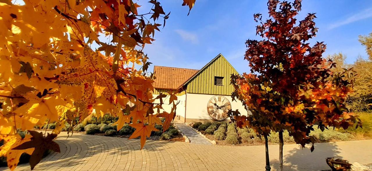 Pajta Apartman Es Vendeghaz Tata Exteriör bild